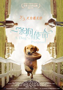 久久久噜
